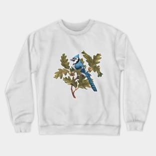 Blue Jay Crewneck Sweatshirt